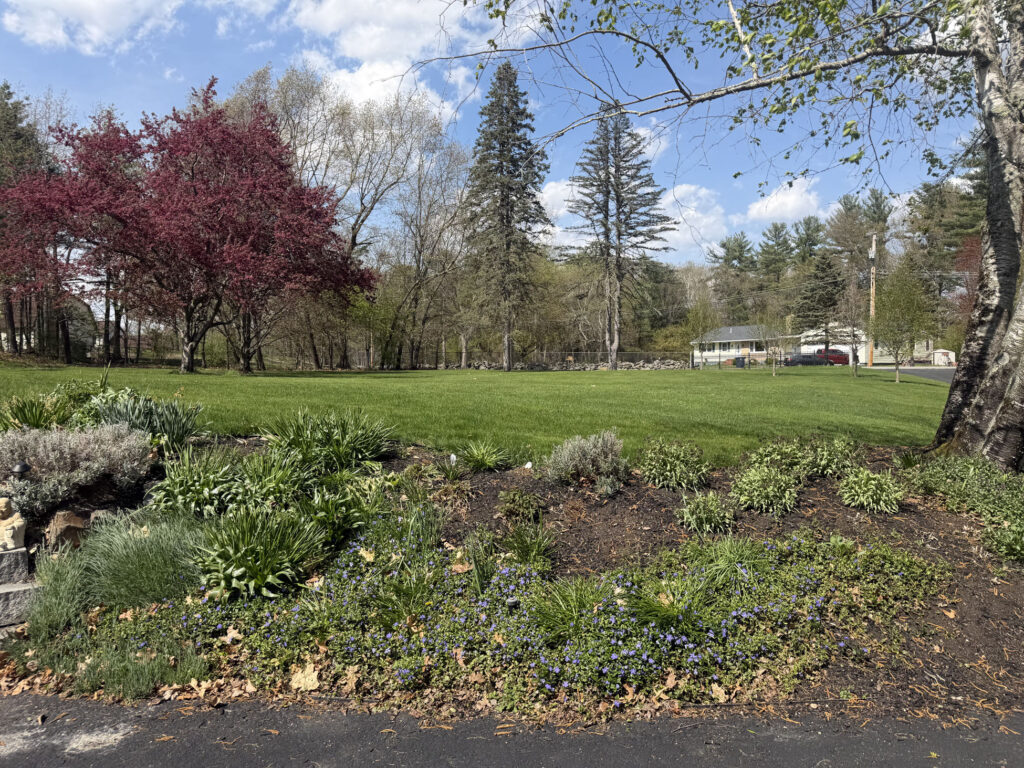 Garden Installation & Seasonal Maintenance in Nashua, NH