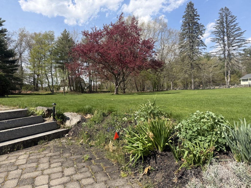 Garden Installation & Seasonal Maintenance in Nashua, NH