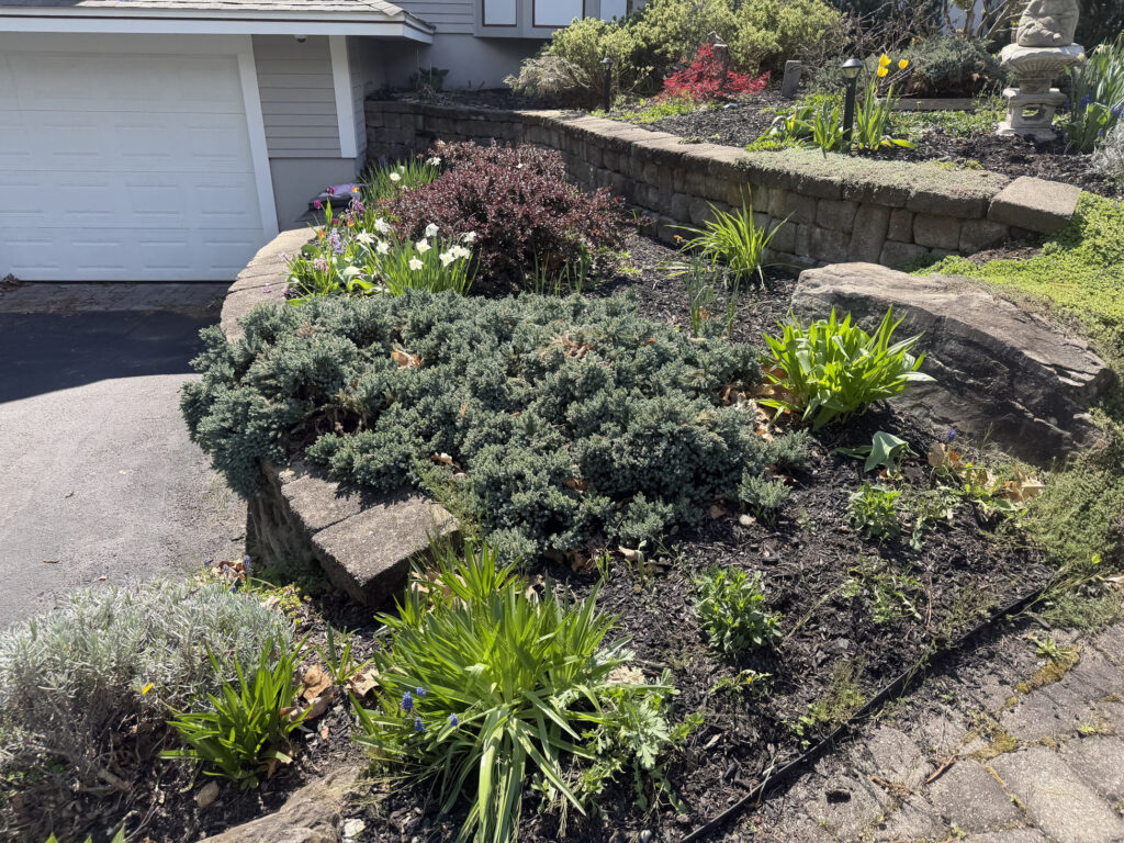 Garden Installation & Seasonal Maintenance in Nashua, NH