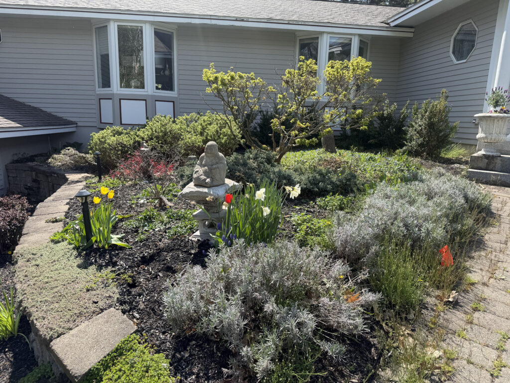 Garden Installation & Seasonal Maintenance in Nashua, NH