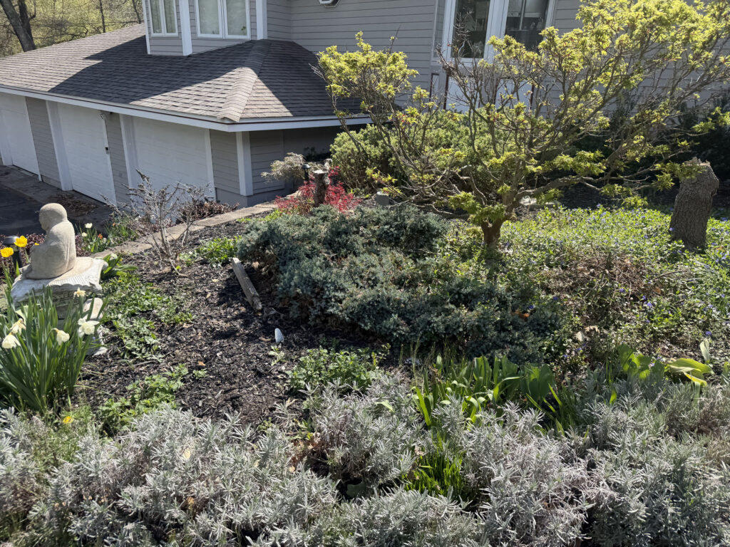Garden Installation & Seasonal Maintenance in Nashua, NH