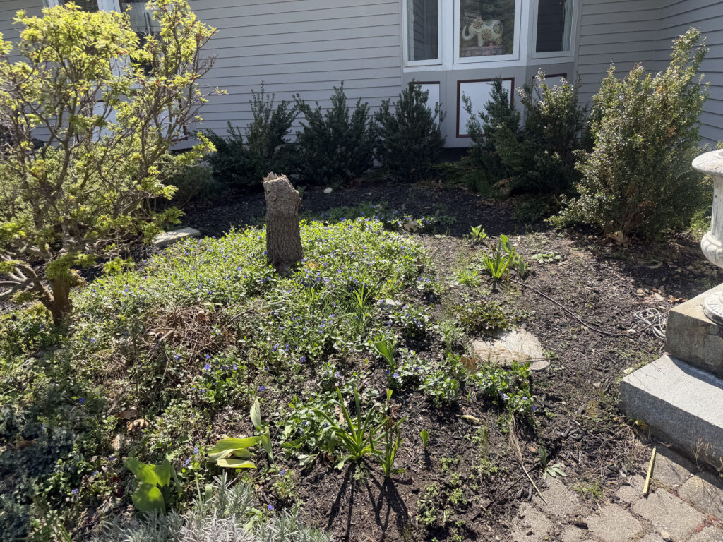 Garden Installation & Seasonal Maintenance in Nashua, NH
