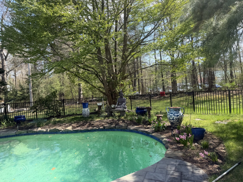 Garden Installation & Seasonal Maintenance in Nashua, NH