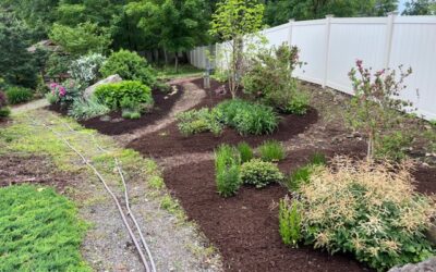 Mulch Installed in Merrimack, NH.