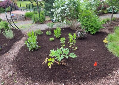 For this project in Merrimack, NH, we provided and installed mulch for the existing gardens. Have questions about your garden redesign or need plant recommendations? Drop us a message or give us a call and let Greenleaf’s Garden Design get your garden blooming!