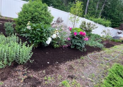 For this project in Merrimack, NH, we provided and installed mulch for the existing gardens. Have questions about your garden redesign or need plant recommendations? Drop us a message or give us a call and let Greenleaf’s Garden Design get your garden blooming!