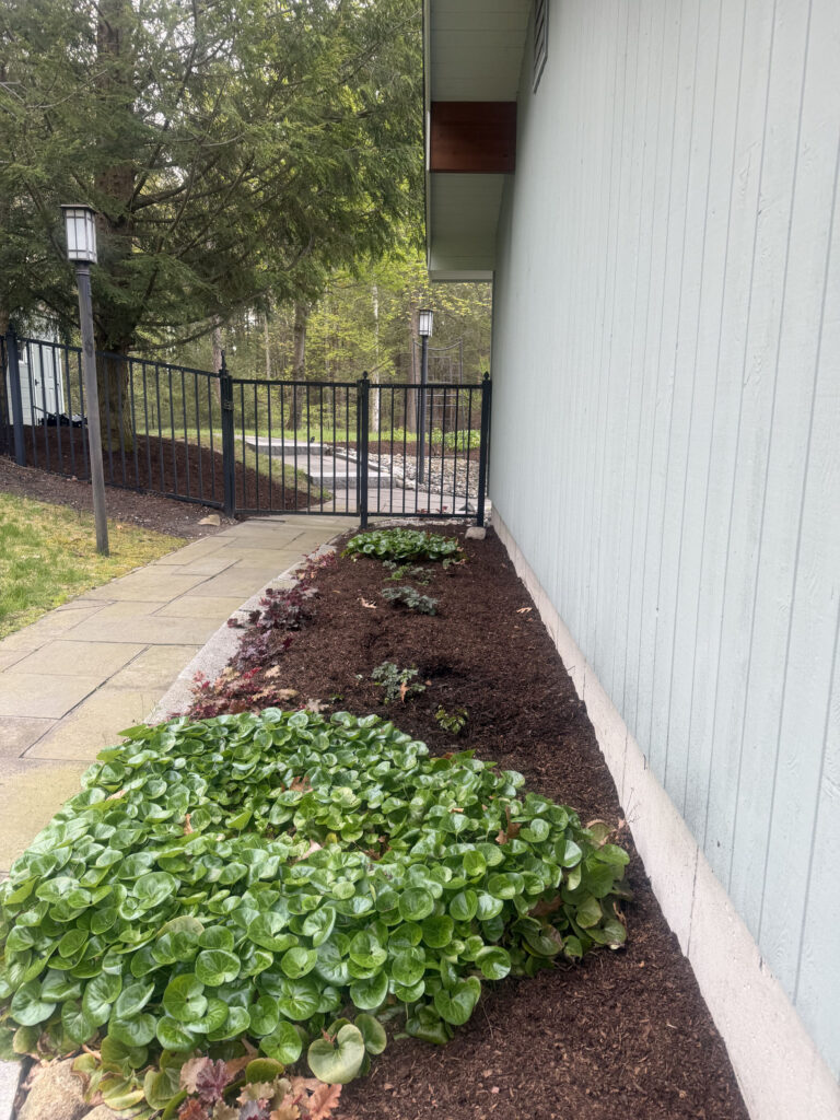 After Garden Design and Installation in Hollis, NH