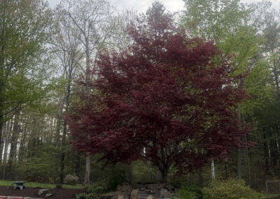 After Garden Design and Installation in Hollis, NH
