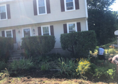 Garden Maintenance and Weeding in Chelmsford, MA