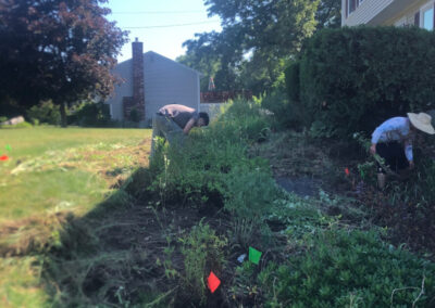 Garden Maintenance and Weeding in Chelmsford, MA