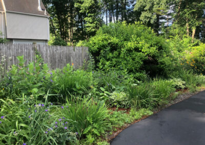 Garden Maintenance and Weeding in Hudson, NH.