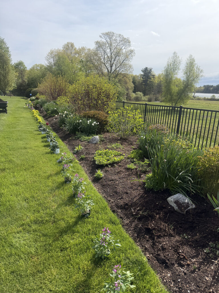 Garden Maintenance and Seasonal Color Installation in Westford, MA