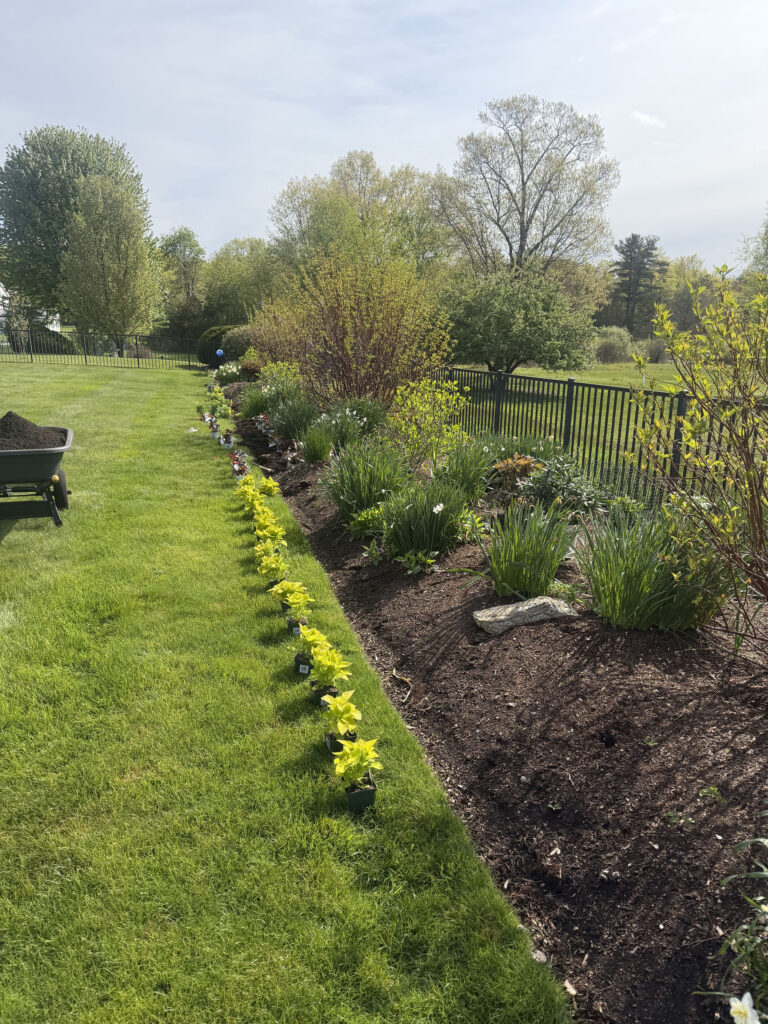 Garden Maintenance and Seasonal Color Installation in Westford, MA