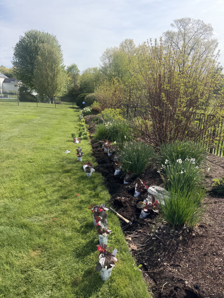 Garden Maintenance and Seasonal Color Installation in Westford, MA