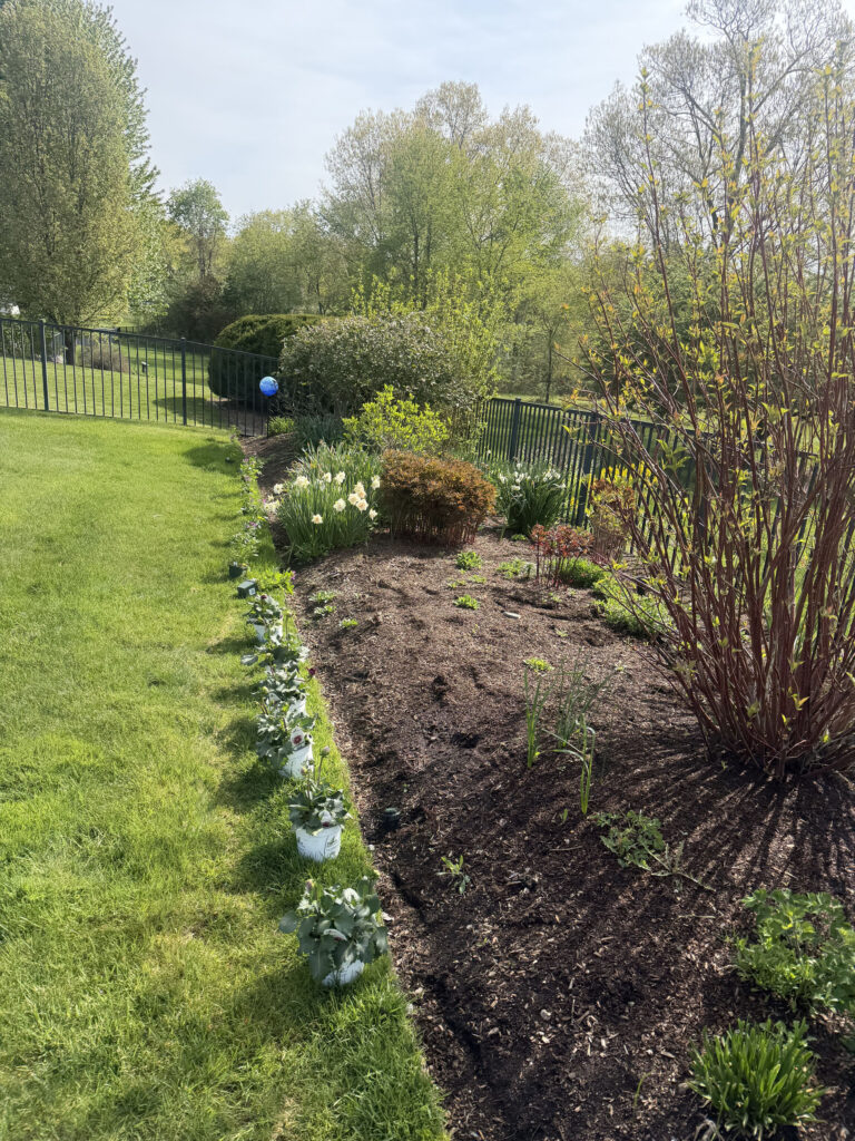 Garden Maintenance and Seasonal Color Installation in Westford, MA