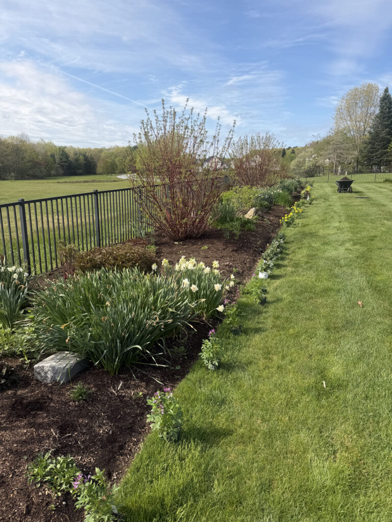 Garden Maintenance and Seasonal Color Installation in Westford, MA