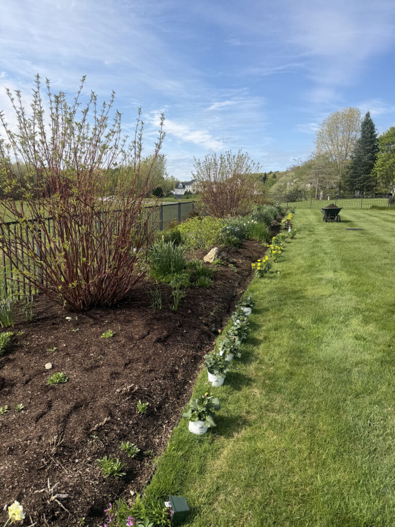 Garden Maintenance and Seasonal Color Installation in Westford, MA