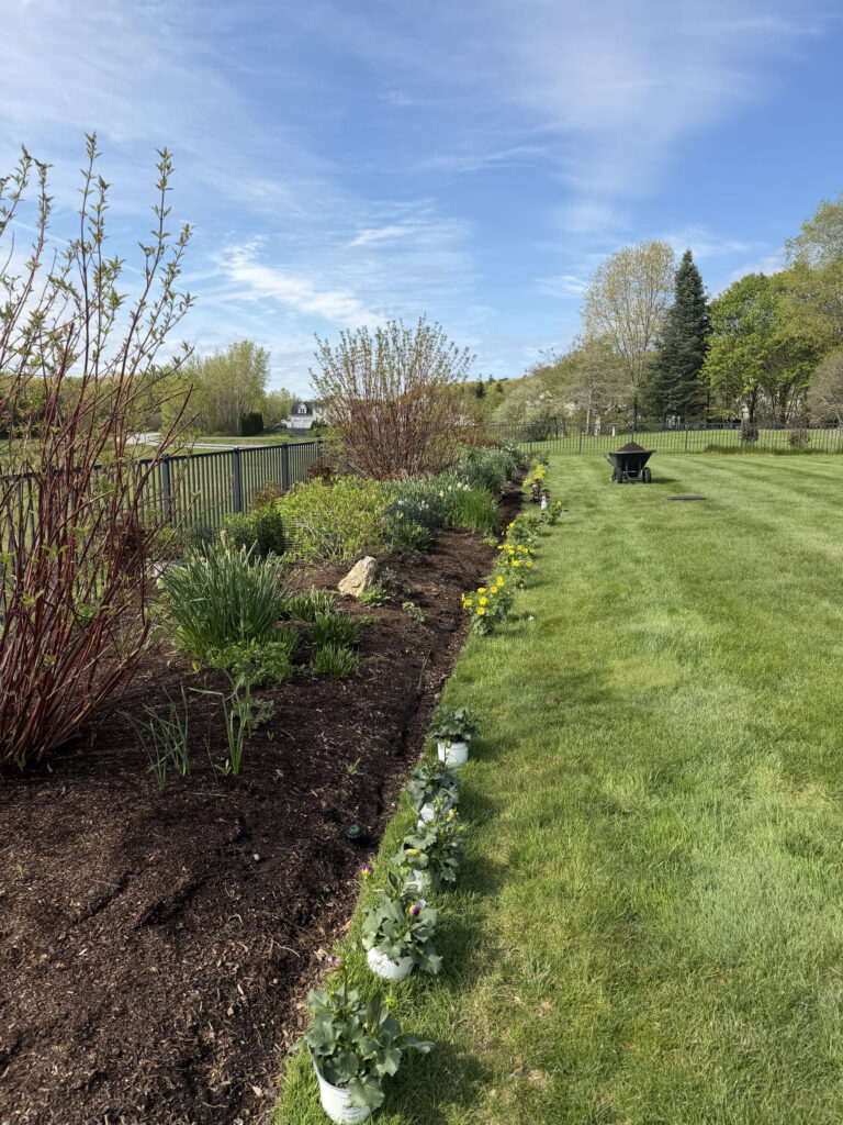 Garden Maintenance and Seasonal Color Installation in Westford, MA