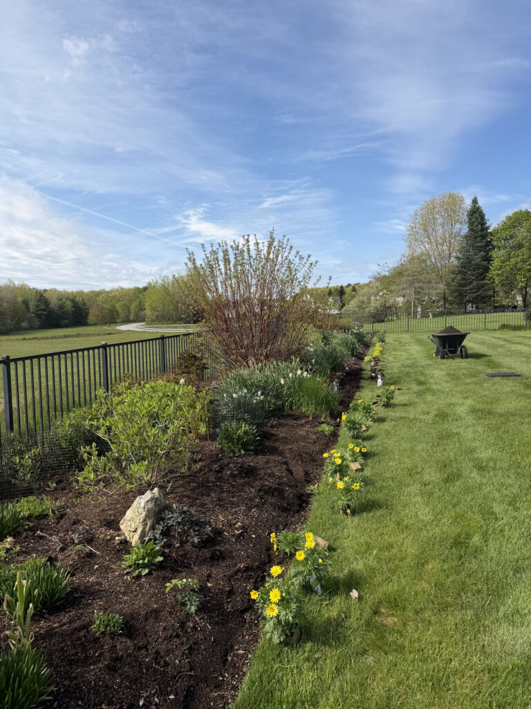 Garden Maintenance and Seasonal Color Installation in Westford, MA