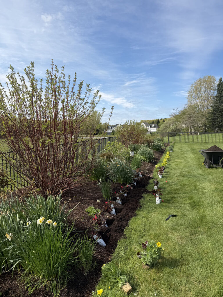 Garden Maintenance and Seasonal Color Installation in Westford, MA