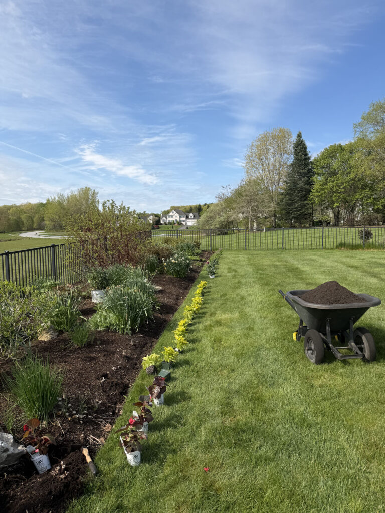 Garden Maintenance and Seasonal Color Installation in Westford, MA