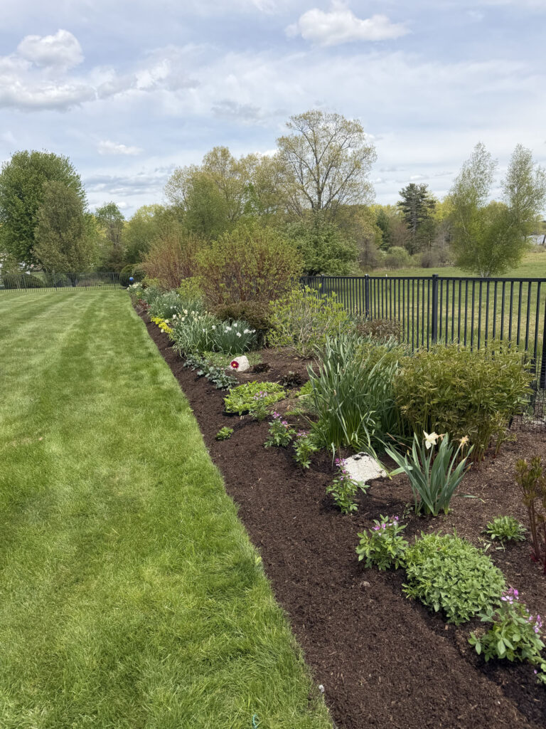 After Garden Maintenance and Seasonal Color Installation in Westford, MA