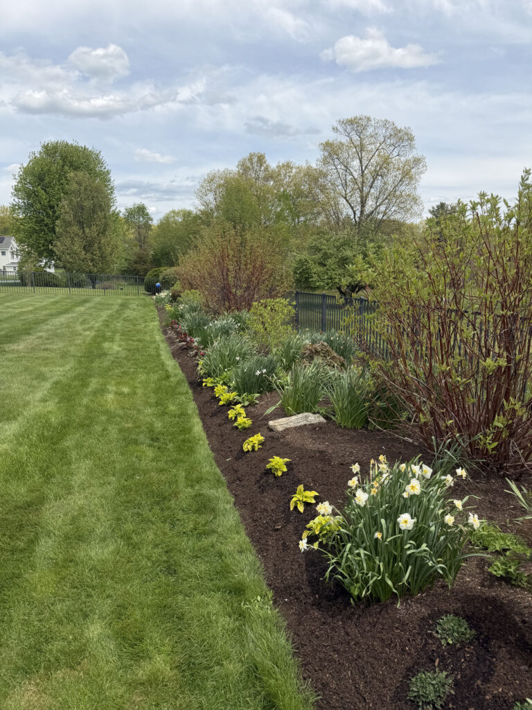After Garden Maintenance and Seasonal Color Installation in Westford, MA