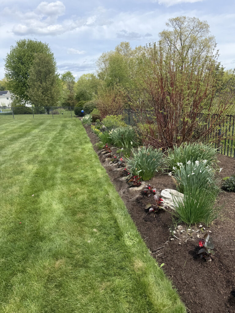 After Garden Maintenance and Seasonal Color Installation in Westford, MA
