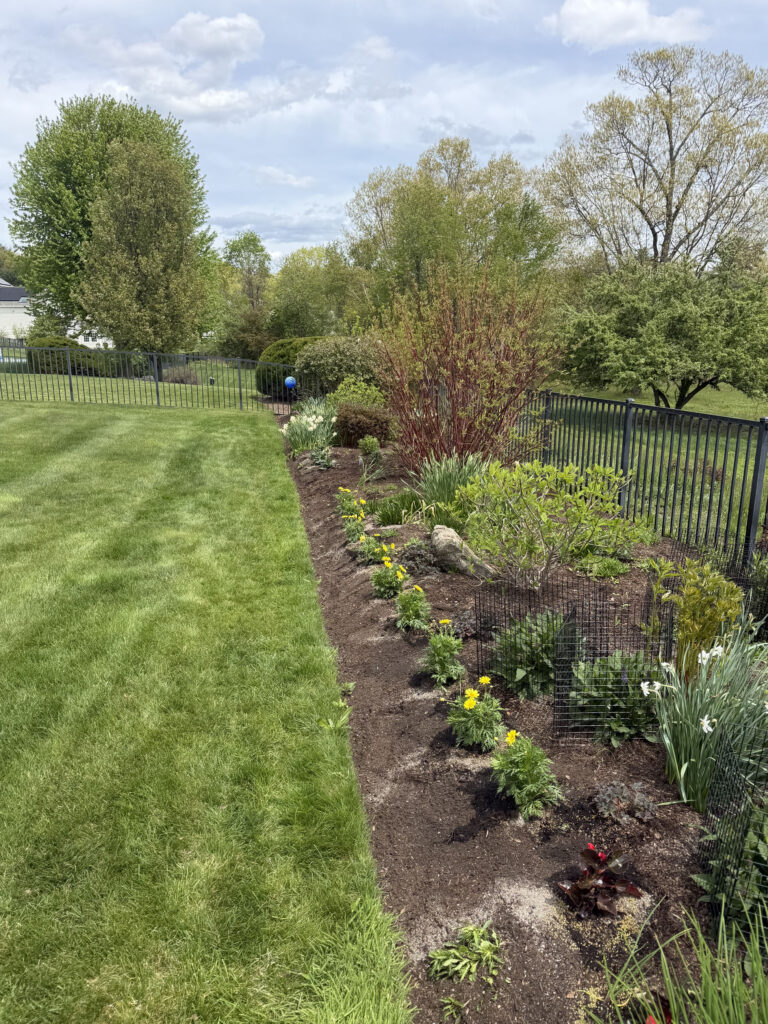 After Garden Maintenance and Seasonal Color Installation in Westford, MA
