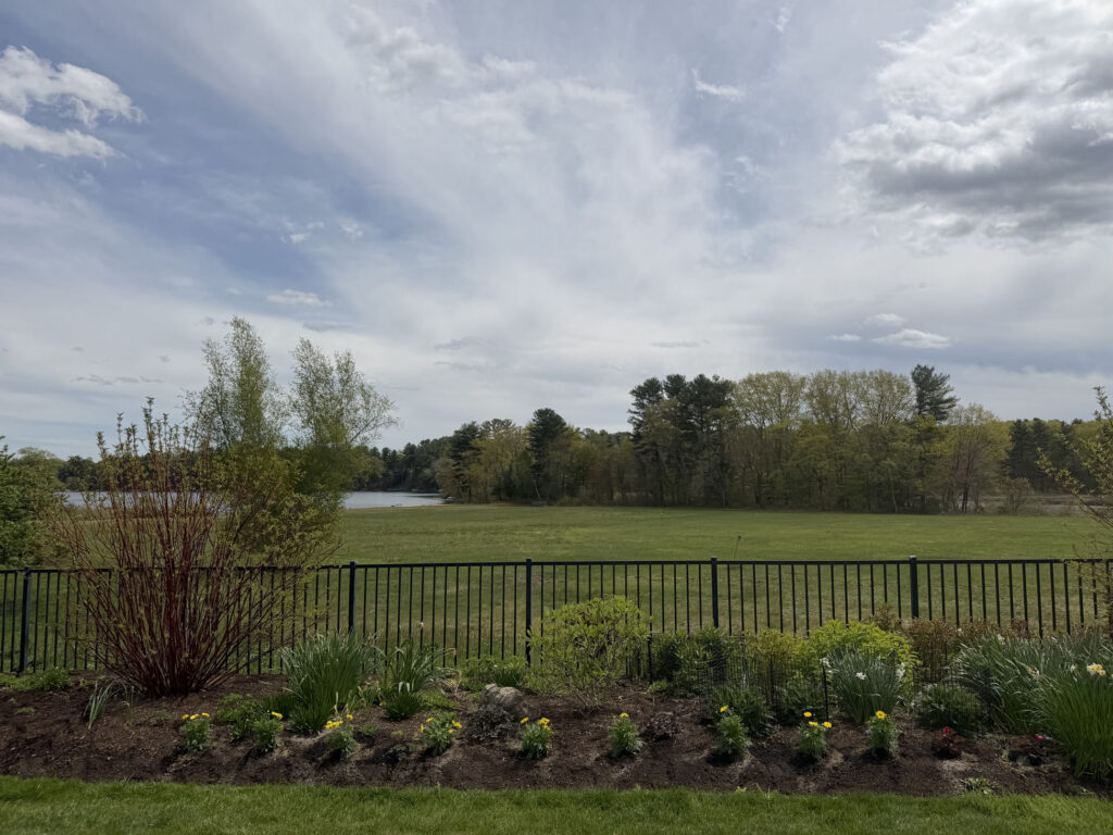 After Garden Maintenance and Seasonal Color Installation in Westford, MA