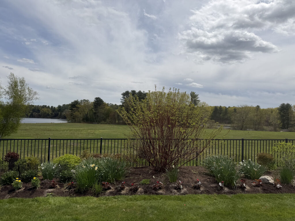 After Garden Maintenance and Seasonal Color Installation in Westford, MA