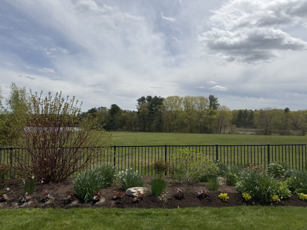 After Garden Maintenance and Seasonal Color Installation in Westford, MA