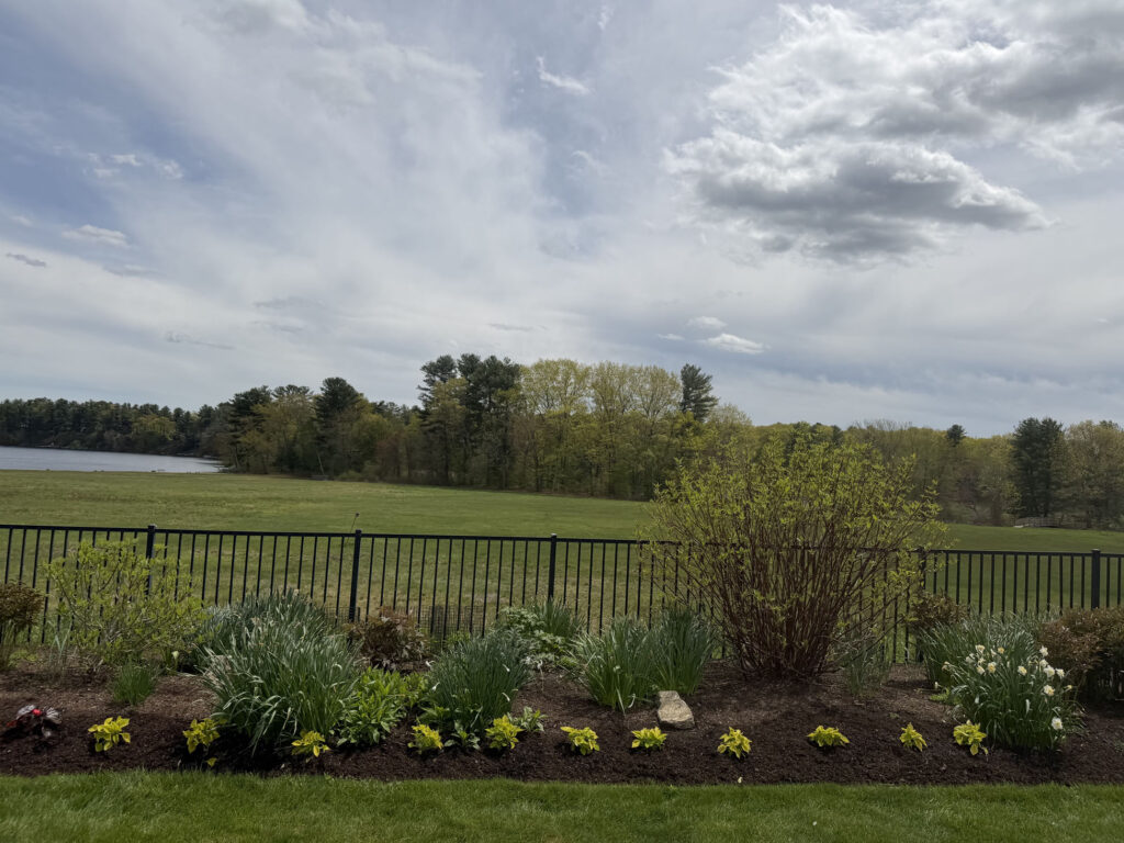 After Garden Maintenance and Seasonal Color Installation in Westford, MA
