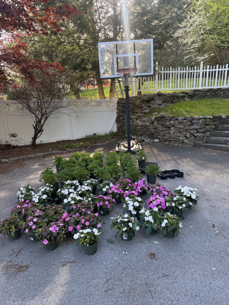 Garden Maintenance & Annual Flower Installation in Tyngsboro, MA