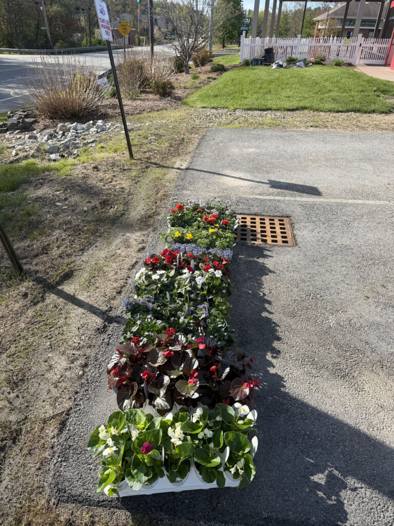 Garden Maintenance & Annual Flower Installation in Tyngsboro, MA