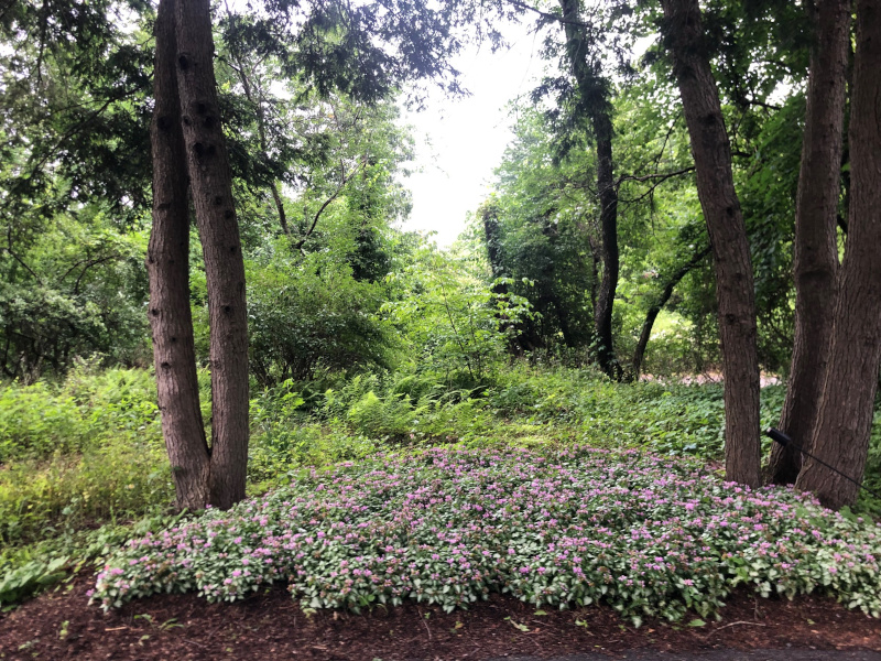 Garden Maintenance in Concord, MA. 