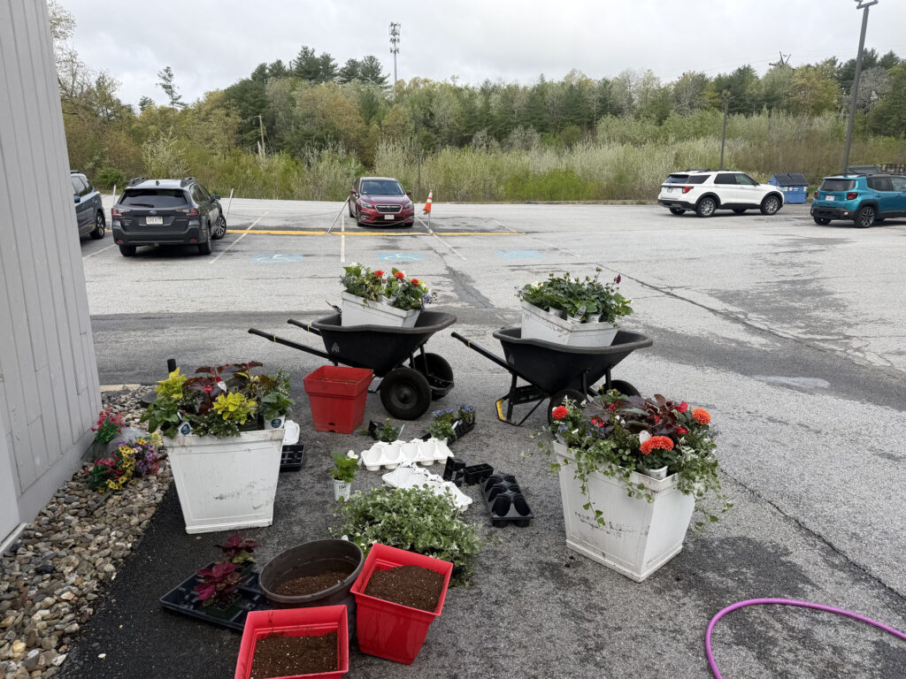 Garden Maintenance & Annual Flower Installation in Tyngsboro, MA