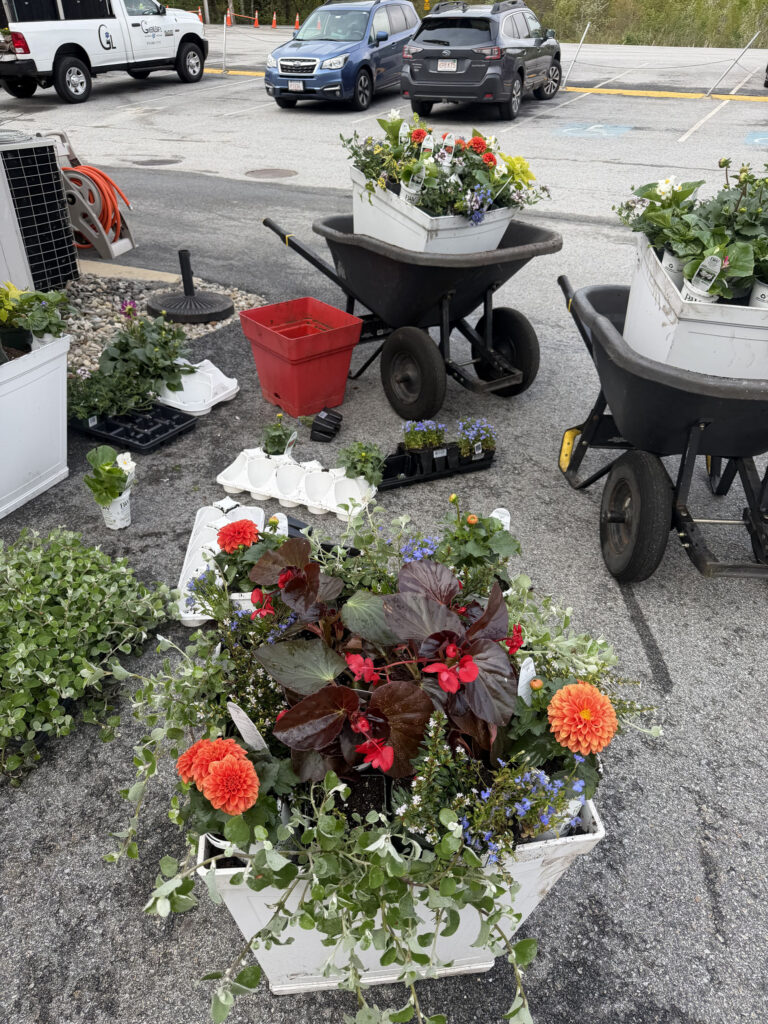 Garden Maintenance & Annual Flower Installation in Tyngsboro, MA