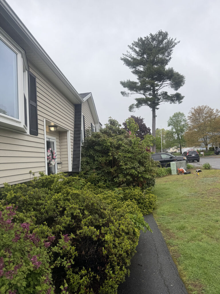 Garden Maintenance & Shrub Installation in Lowell, MA