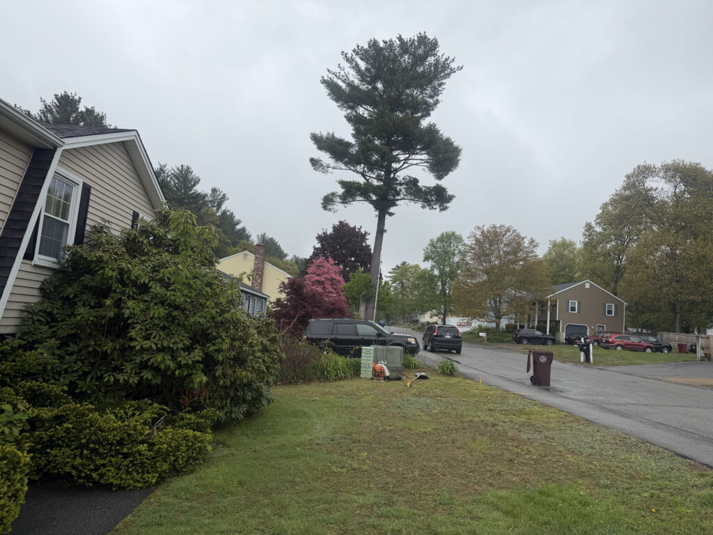 Garden Maintenance & Shrub Installation in Lowell, MA