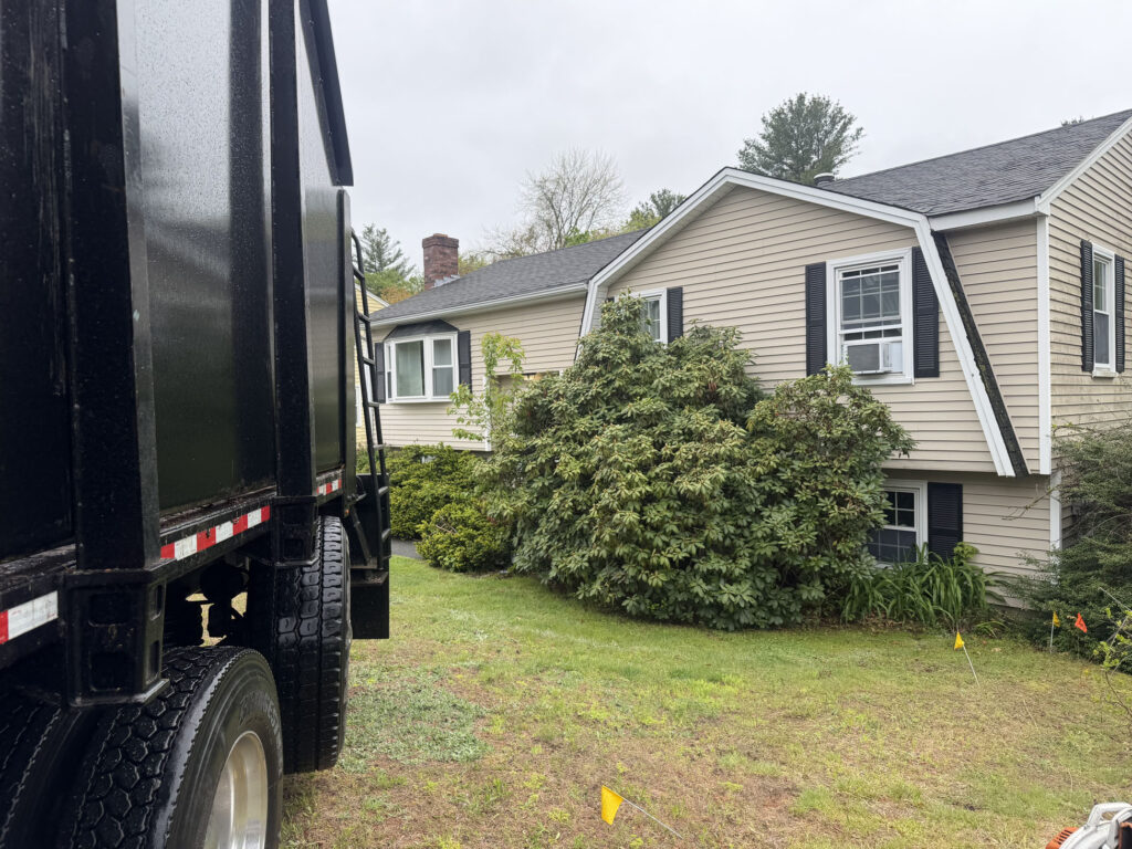 Garden Maintenance & Shrub Installation in Lowell, MA