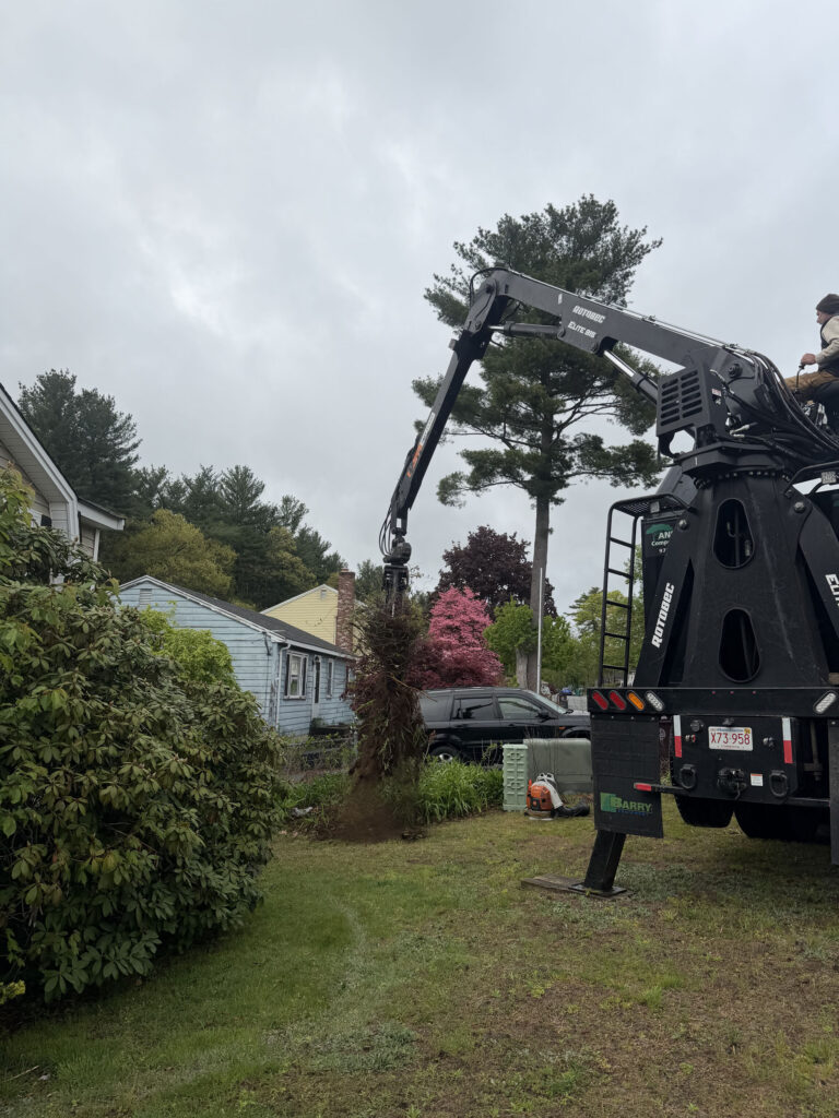 Garden Maintenance & Shrub Installation in Lowell, MA