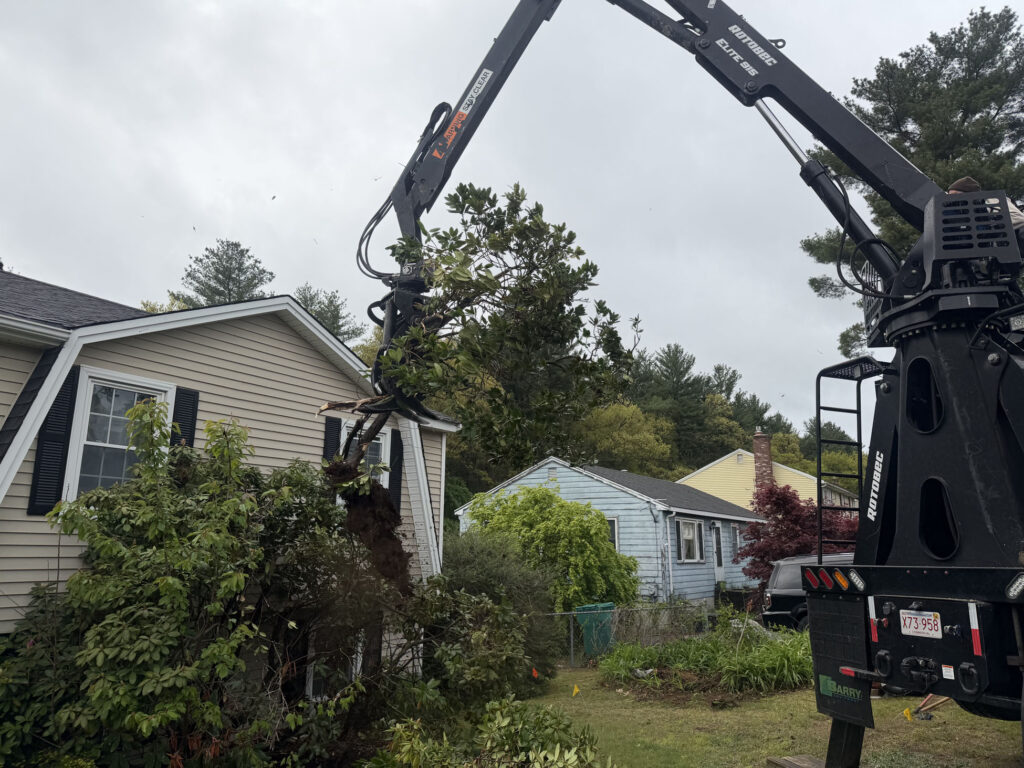 Garden Maintenance & Shrub Installation in Lowell, MA