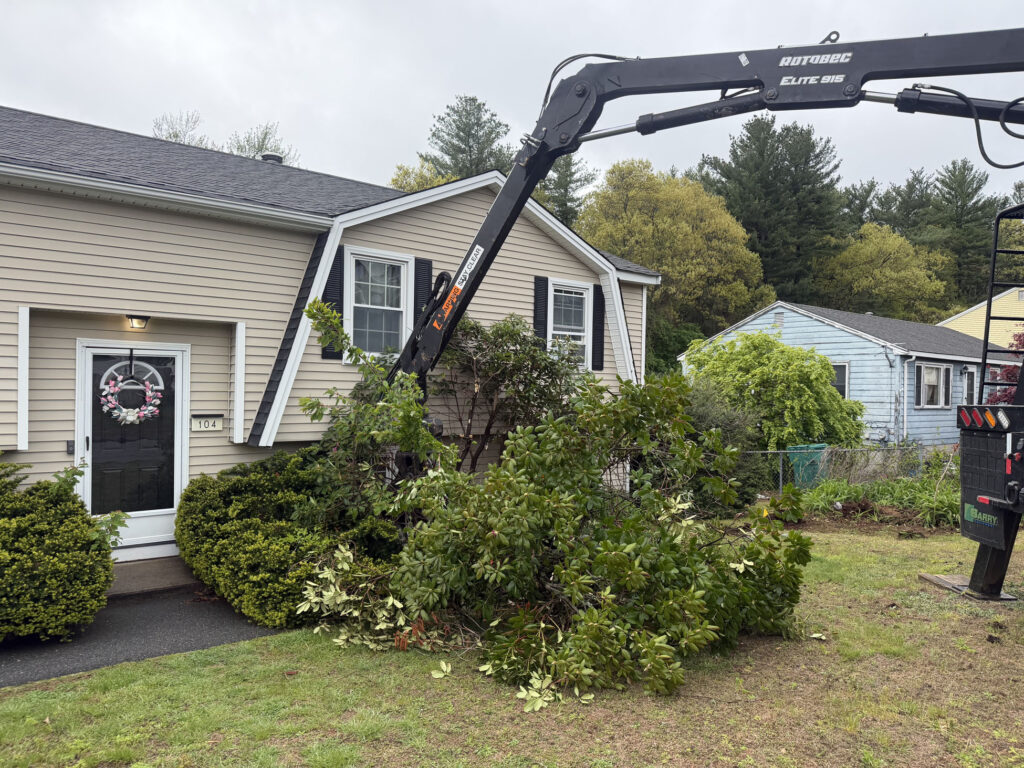 Garden Maintenance & Shrub Installation in Lowell, MA