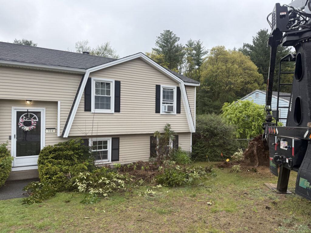 Garden Maintenance & Shrub Installation in Lowell, MA