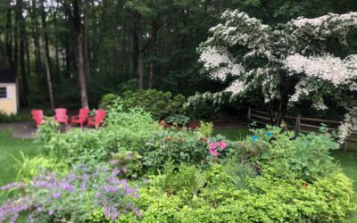 Garden Installation and Maintenance in Pepperell, MA.