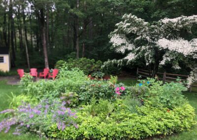 This Pepperell, MA client said, “Out with the Pachysandra”. The crew dug out an inner circle leaving a 2-foot-wide perimeter. The new 30 perennials planted 6” higher, now will be kept safe from the invading pachysandra with a 12-inch-high plastic barrier. Have questions about your garden redesign or need plant recommendations? Drop us a message or give us a call and let Greenleaf’s Garden Design get your garden blooming!
