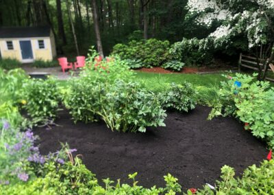 This Pepperell, MA client said, “Out with the Pachysandra”. The crew dug out an inner circle leaving a 2-foot-wide perimeter. The new 30 perennials planted 6” higher, now will be kept safe from the invading pachysandra with a 12-inch-high plastic barrier. Have questions about your garden redesign or need plant recommendations? Drop us a message or give us a call and let Greenleaf’s Garden Design get your garden blooming!