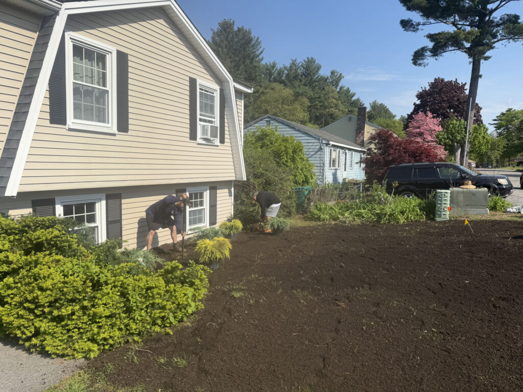 Garden Maintenance & Shrub Installation in Lowell, MA