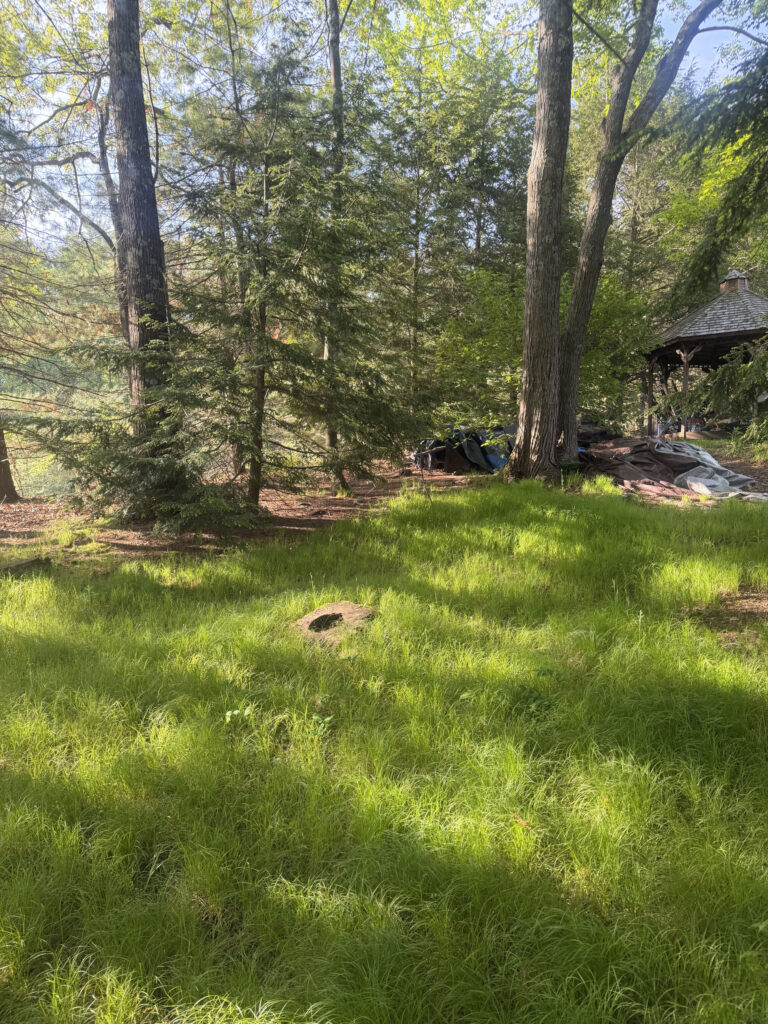 Mid-May Garden Update in Tyngsboro, MA